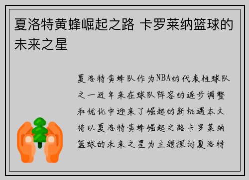 夏洛特黄蜂崛起之路 卡罗莱纳篮球的未来之星